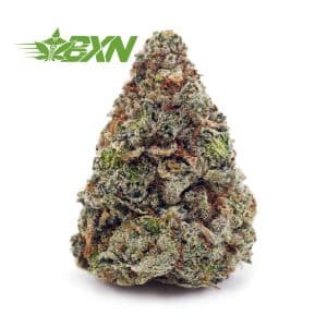 Buy Biscuit Cookies AAA at BudExpressNOW Online Shop.