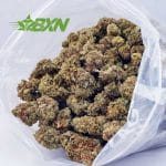 Buy Mac Donuts AAA at BudExpressNOW Online Shop.