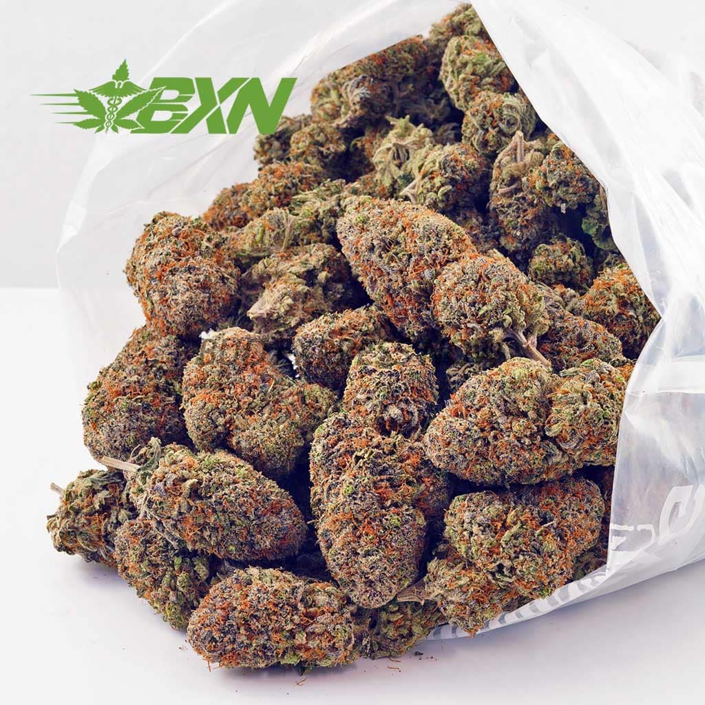 D737A2-FORUMCUTCOOKIES-BXN Buy Forum Cut Cookies AAAA at BudExpressNOW Online Shop