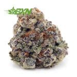 Buy Purple Push Pop AAAA at BudExpressNOW Online Shop