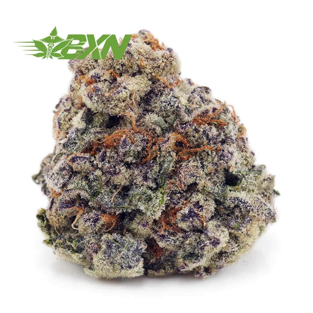 Buy Purple Push Pop AAAA at BudExpressNOW Online Shop