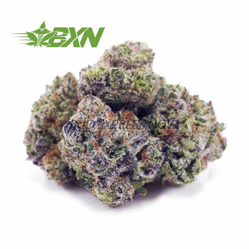 D747A1-APPLEFRITTERPOPCORN-BXN Buy Apple Fritter AAAA (Popcorn) at BudExpressNOW Online Shop