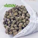 Buy Apple Fritter AAAA (Popcorn) at BudExpressNOW Online Shop