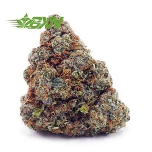 Buy Mac & Cheese AA at BudExpressNOW Online Shop