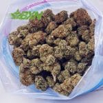 Buy Mac & Cheese AA at BudExpressNOW Online Shop