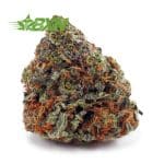 Buy Kush Mintz AA at BudExpressNOW Online Shop.