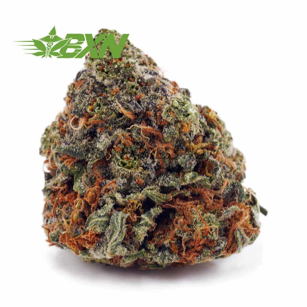 D754A1-KUSHMINTZ-BXN Buy Kush Mintz AA at BudExpressNOW Online Shop.