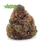 Buy Slurricane AA at BudExpressNOW Online Shop