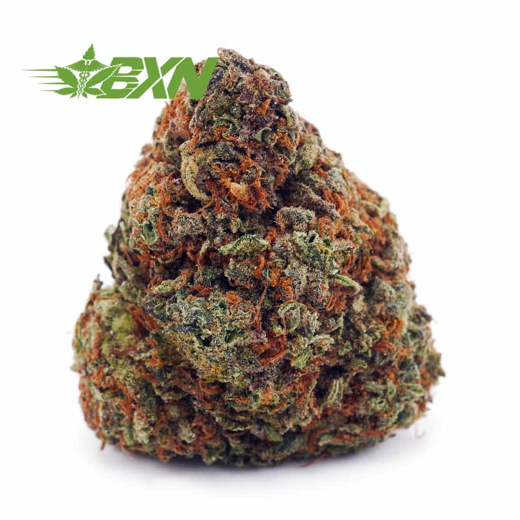 Buy Slurricane AA at BudExpressNOW Online Shop