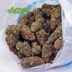 Buy Slurricane AA at BudExpressNOW Online Shop