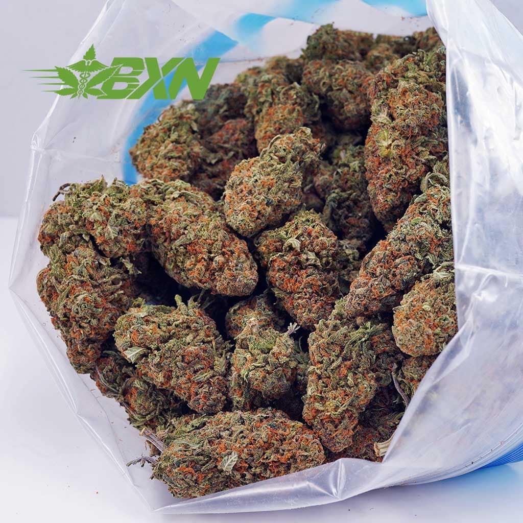 Buy Slurricane AA at BudExpressNOW Online Shop