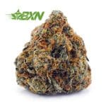 Buy Lindsay OG AA at BudExpressNOW Online Shop.