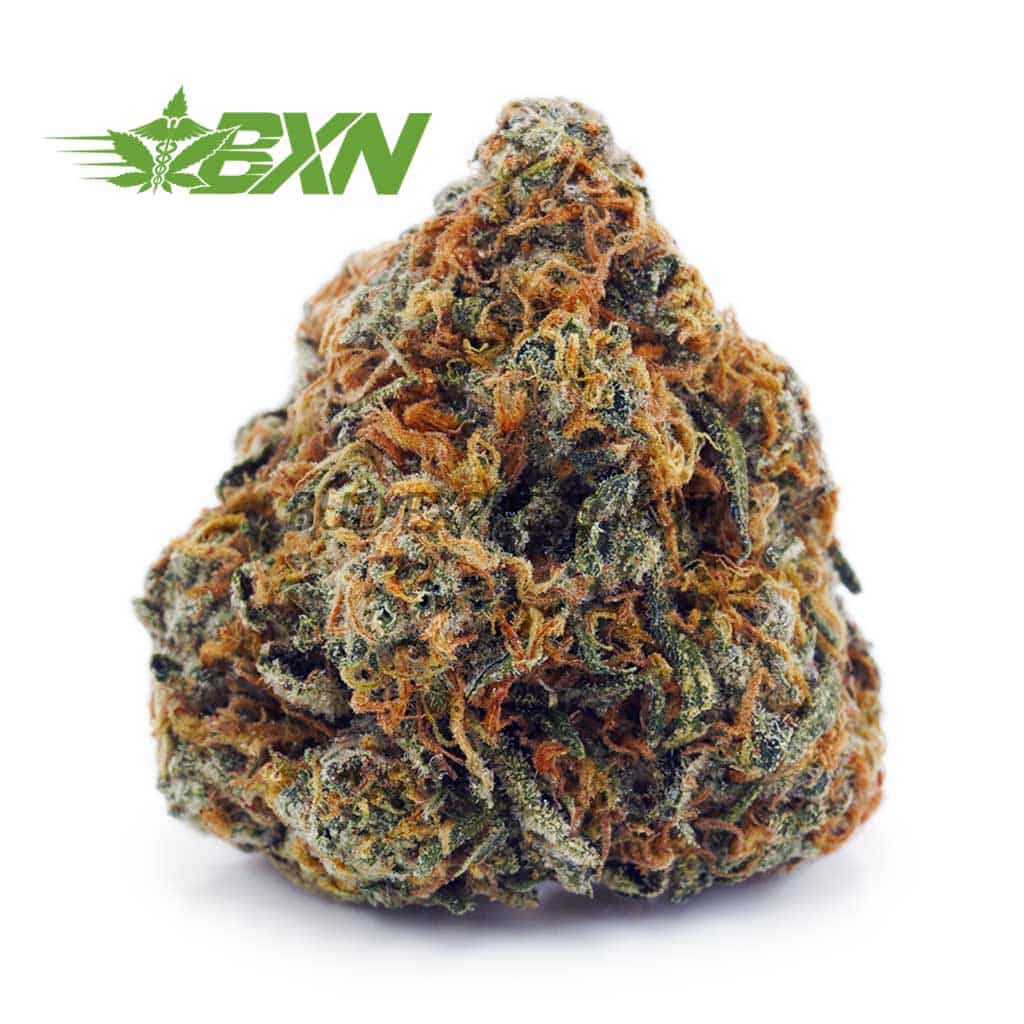 Buy Lindsay OG AA at BudExpressNOW Online Shop.