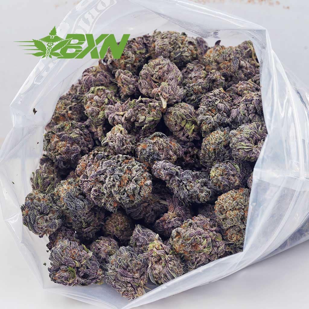 Buy Purple OG AAAA at BudExpressNOW Online shop