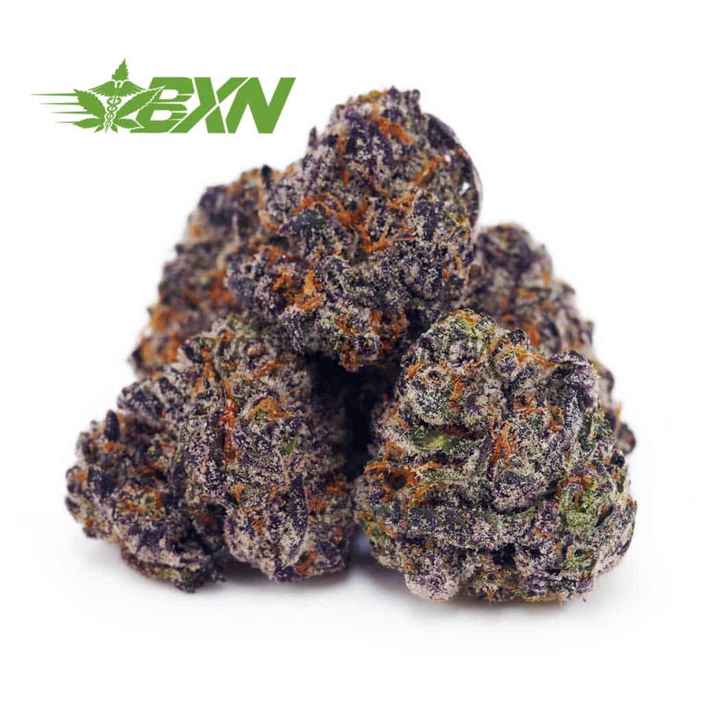D852A1-CHOCOLATEKUSHPOPCORN-BXN Buy Chocolate Kush AAAA (Popcorn) at BudExpressNOW Online Shop