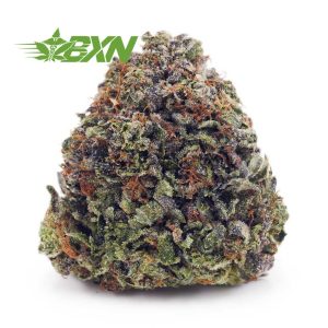 Buy Blueberry Kush AAA at BudExpressNOW Online Shop.