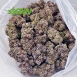 Buy Laughing Buddha AAAA (Craft) at BudExpressNOW Online Shop