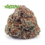 Buy Acapulco Gold AA at BudExpressNOW Online Shop