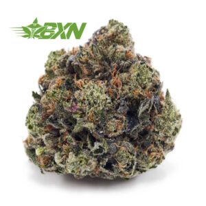 Buy Godfather OG AAA at BudExpressNOW Online Shop