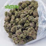 Buy Godfather OG AAA at BudExpressNOW Online Shop