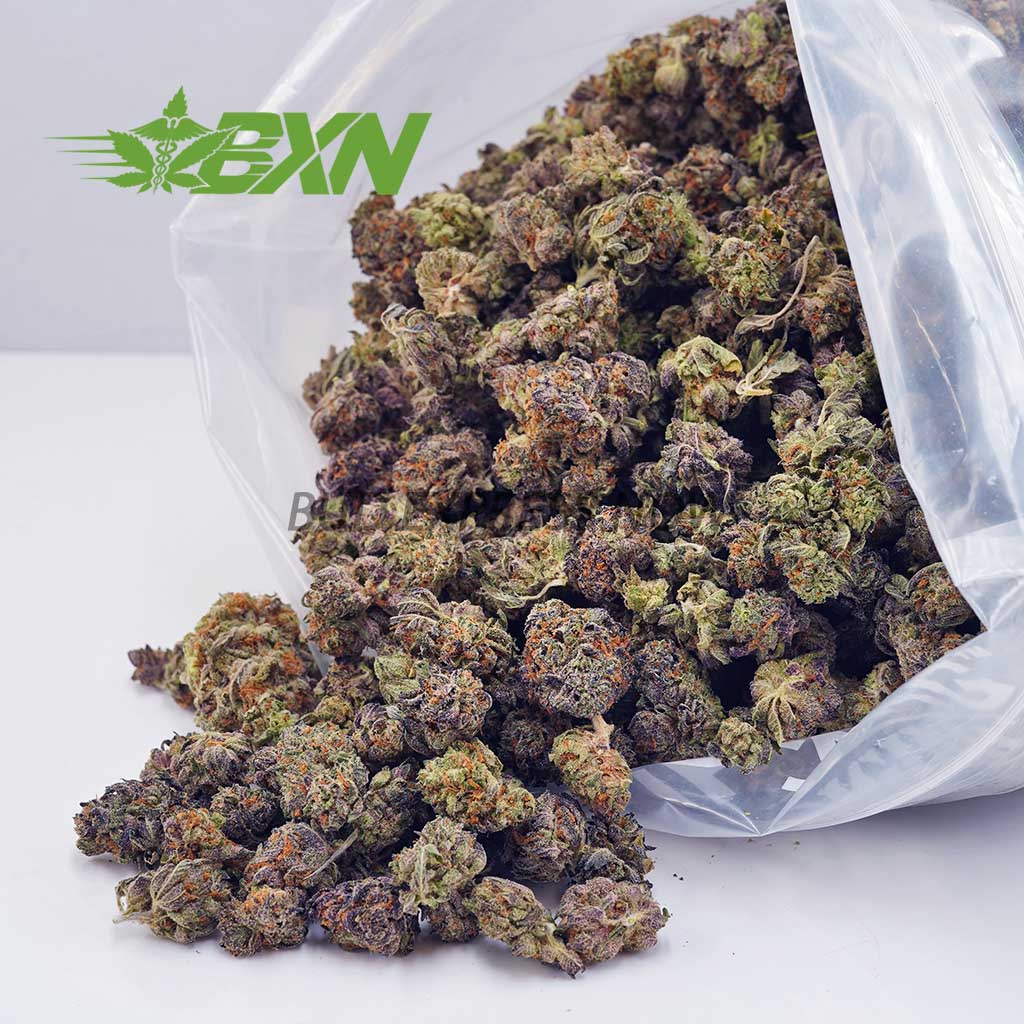 Buy Monster Cookies AAAA (Popcorn) at BudExpressNOW Online Shop