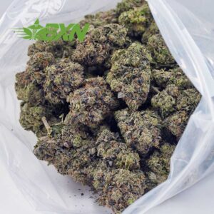 Buy Pink Bubba AAAA at BudExpressNOW Online