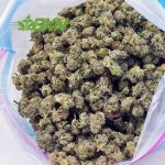 Buy Green Goblin AAAA (Popcorn) at BudExpressNOW Online Shop