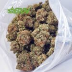 Buy Chemdawg AAA at BudExpressNOW Online
