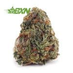 Buy Gary Payton AAA at BudExpressNOW Online