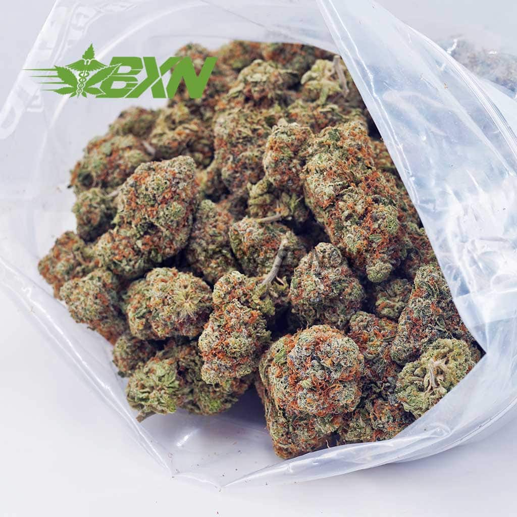 D776A2-GARYPAYTON-BXN Buy Gary Payton AAA at BudExpressNOW Online