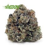 Buy Candy Kush AAAA at BudExpressNOW Online