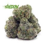 Buy Dragonfruit Punch AAAA (Popcorn) at BudExpressNOW Online Shop