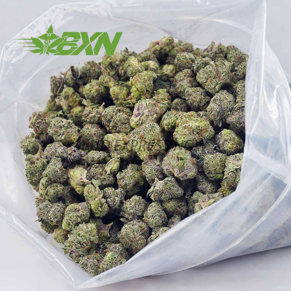 D790A2-DRAGONFRUITPUNCH-BXN