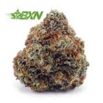 Buy Fortune Cookies  AAAA at BudExpressNOW Online Shop