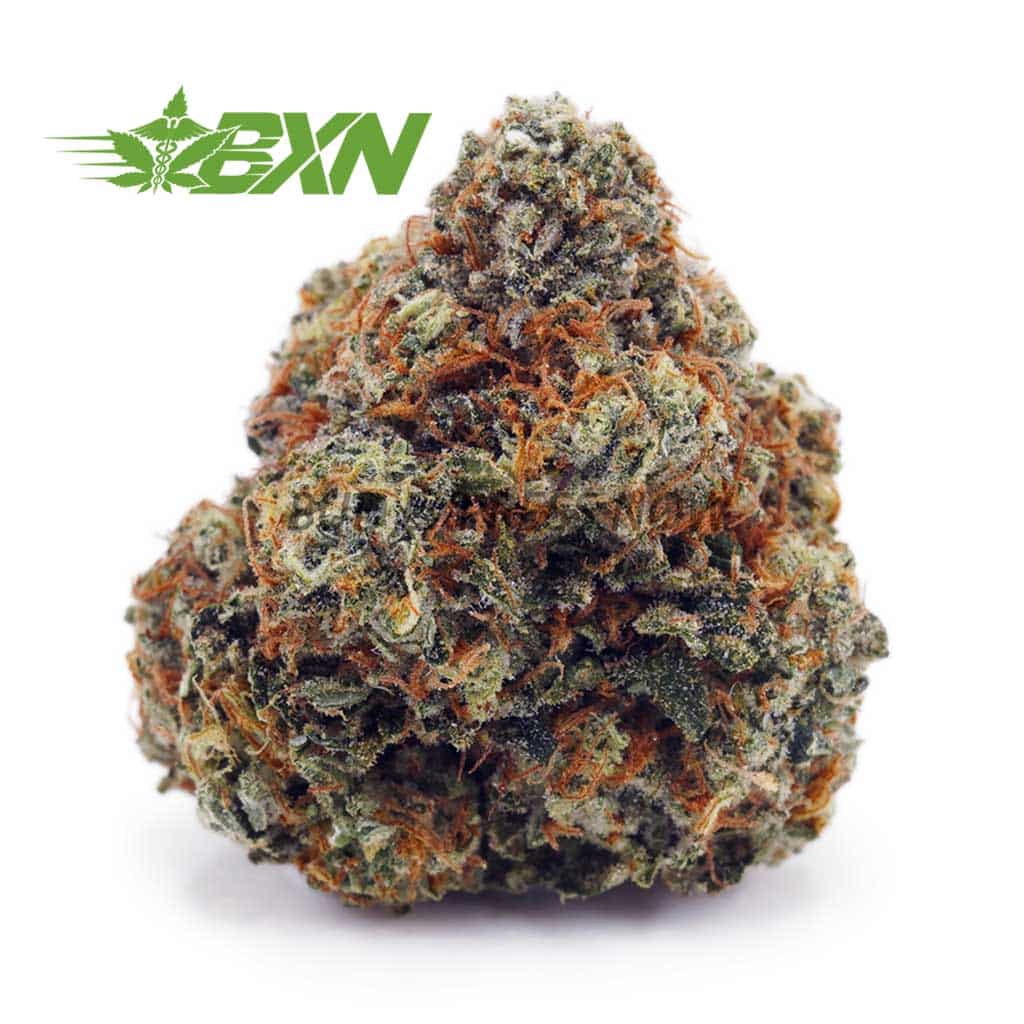 Buy Fortune Cookies  AAAA at BudExpressNOW Online Shop