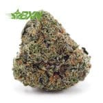 Buy Russian Cream AAA at BudExpressNOW Online.