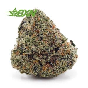 Buy Russian Cream AAA at BudExpressNOW Online.