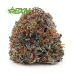 Buy King Tut AAAA at BudExpressNOW Online Shop.