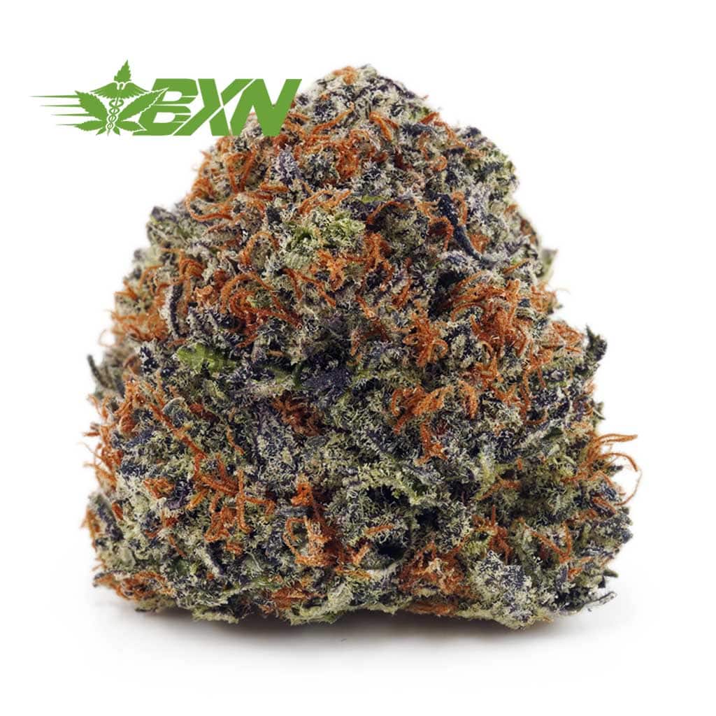 D811A1-KINGTUT-BXN Buy King Tut AAAA at BudExpressNOW Online Shop.