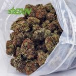 Buy King Tut AAAA at BudExpressNOW Online Shop.