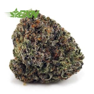 Buy Platinum OG AAA at BudExpressNOW Online Shop.