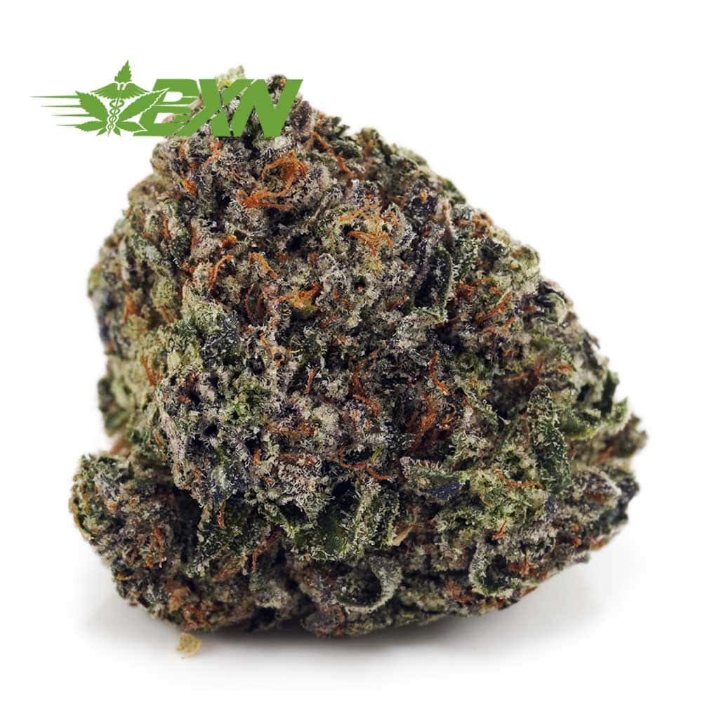 D815A1-OGKUSH-BXN Buy Platinum OG AAA at BudExpressNOW Online Shop.