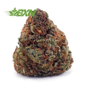 Buy Banana Punch AAAA at BudExpressNOW Online Shop