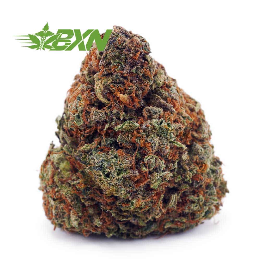 D816A1-BANANAPUNCH-BXN Buy Banana Punch AAAA at BudExpressNOW Online Shop