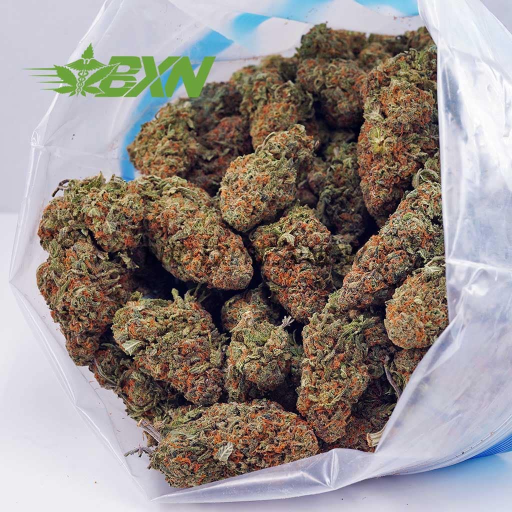 D816A2-BANANAPUNCH-BXN