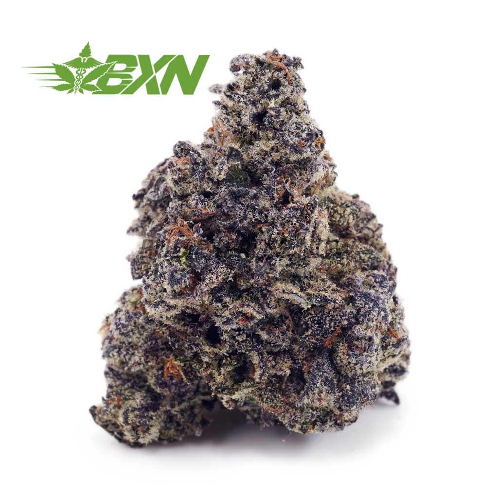 In combination with its super high 27-30% average THC level, these effects give Supreme Kush Mintz an edge in treating those suffering from conditions such as chronic pain, insomnia, muscle spasms or cramps and appetite loss or nausea.