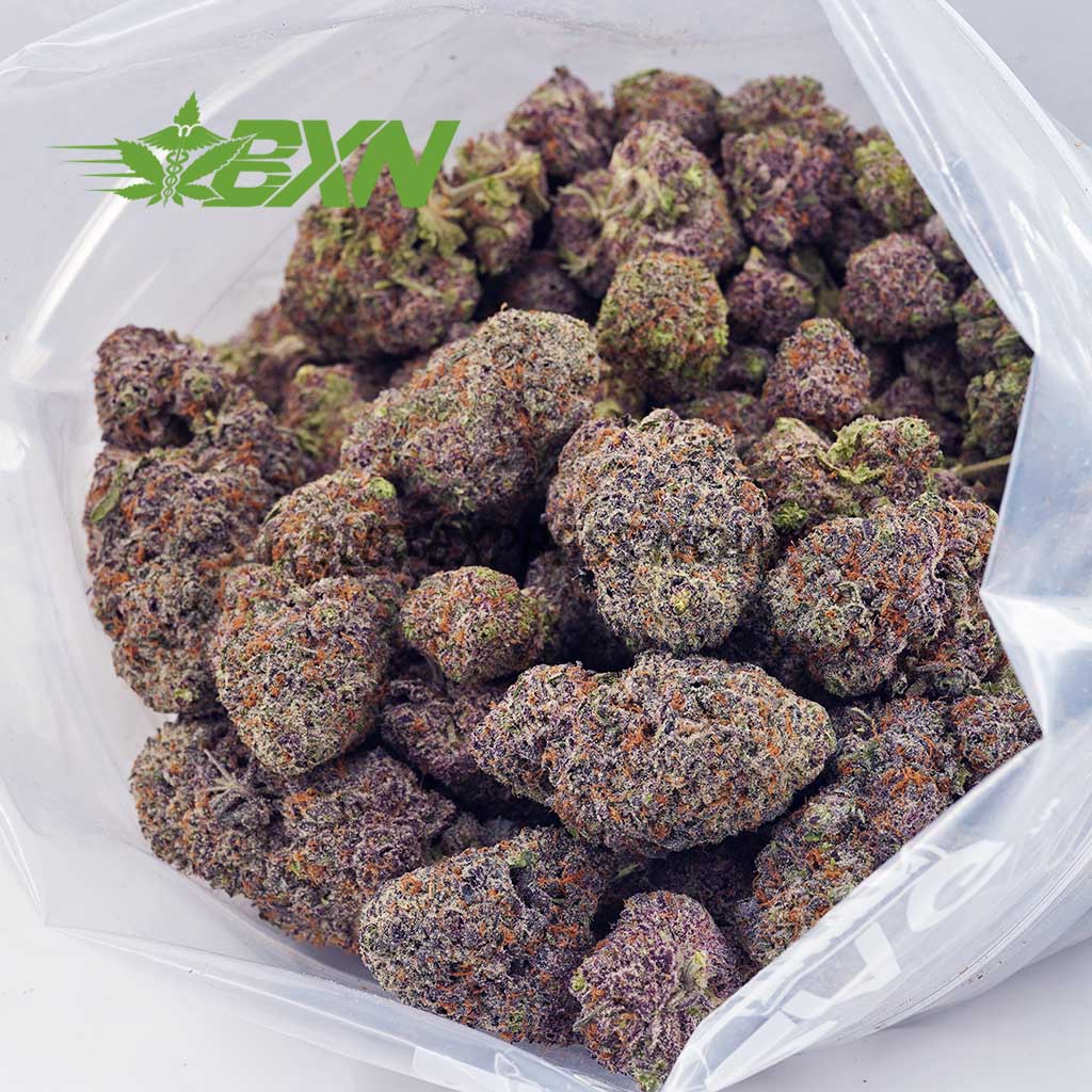 D899A2-PURPLECANDY-BXN