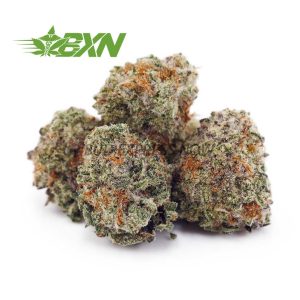 Buy Cookies Kush AAAA (Popcorn) at BudExpressNOW Online Shop
