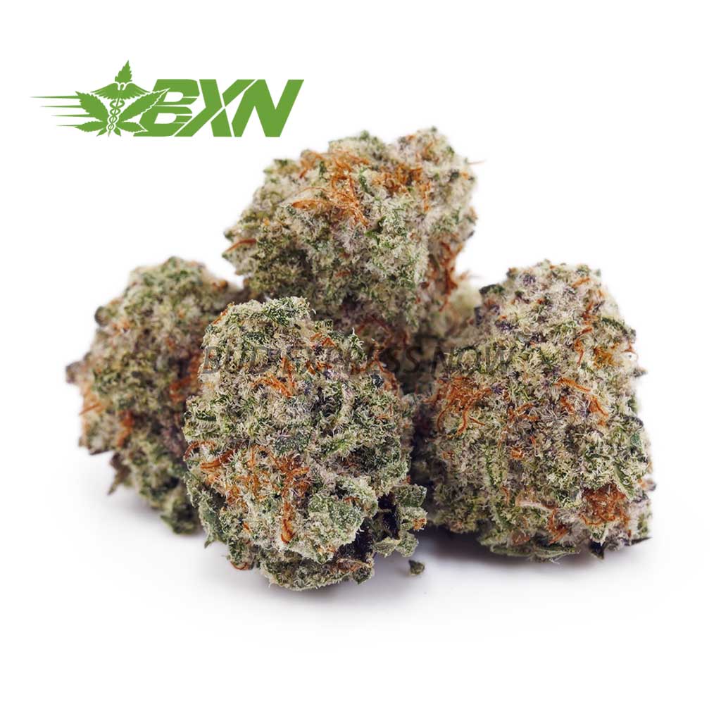 Buy Cookies Kush AAAA (Popcorn) at BudExpressNOW Online Shop