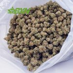 Buy Cookies Kush AAAA (Popcorn) at BudExpressNOW Online Shop